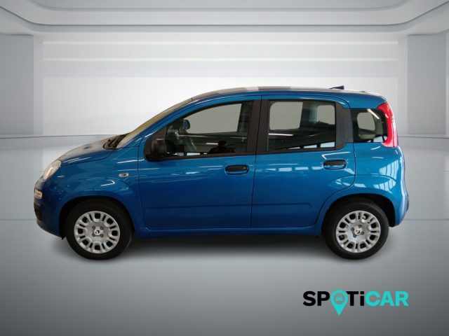 Fiat Panda 1.0 FireFly S&S Hybrid Icon - foto 4 di 4