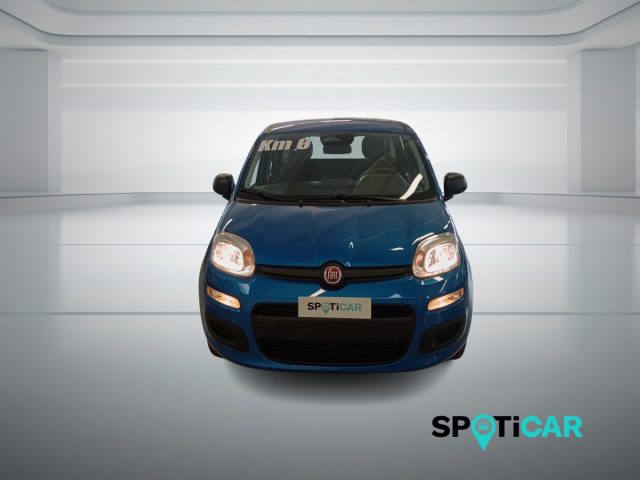 Fiat Panda 1.0 FireFly S&S Hybrid Icon - foto 2 di 4