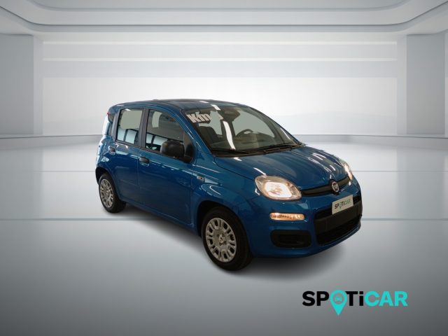 Fiat Panda 1.0 FireFly S&S Hybrid Icon - foto 3 di 4