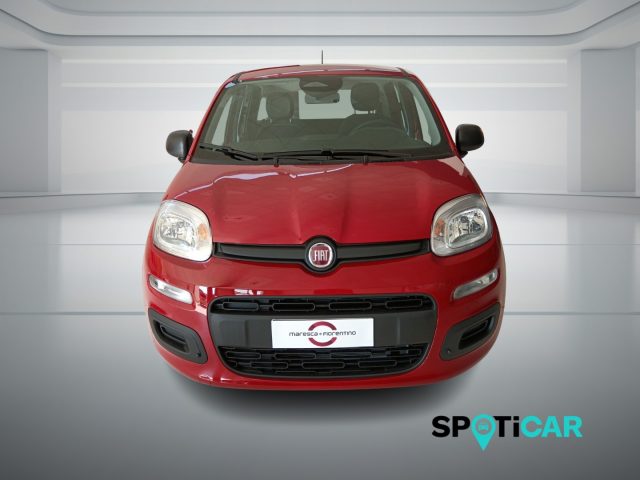 Fiat Panda 1.0 FireFly S&S Hybrid Icon - foto 2 di 4