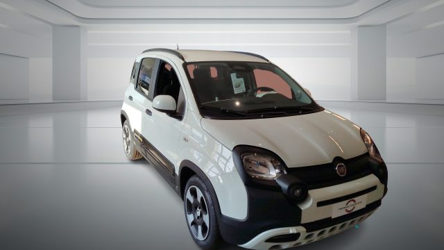 Fiat Panda 1.0 FireFly S&S Hybrid Pandina - foto 3 di 4