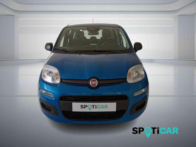 Fiat Panda 1.0 FireFly S&S Hybrid PANDINA ADAS - foto 2 di 4