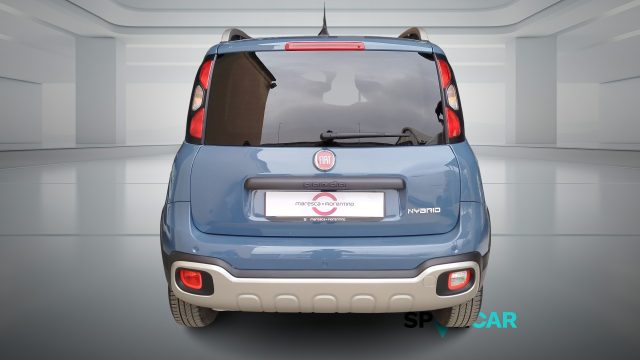 Fiat Panda Cross 1.0 FireFly S&S Hybrid usato a BOLOGNA