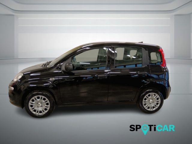 Fiat Panda 1.0 FireFly S&S Hybrid Icon - foto 4 di 4