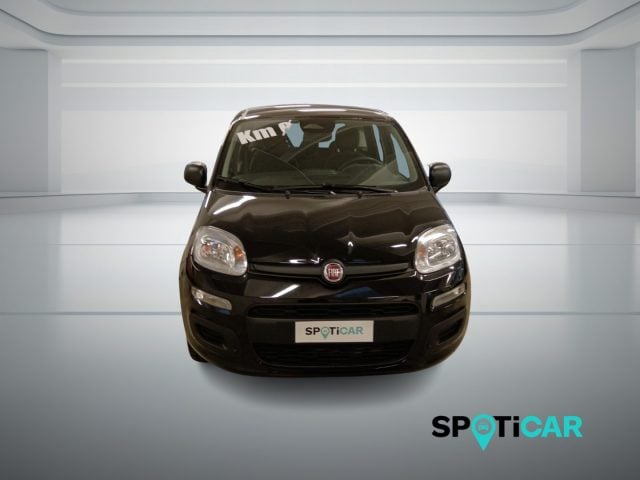 Fiat Panda 1.0 FireFly S&S Hybrid Icon - foto 2 di 4