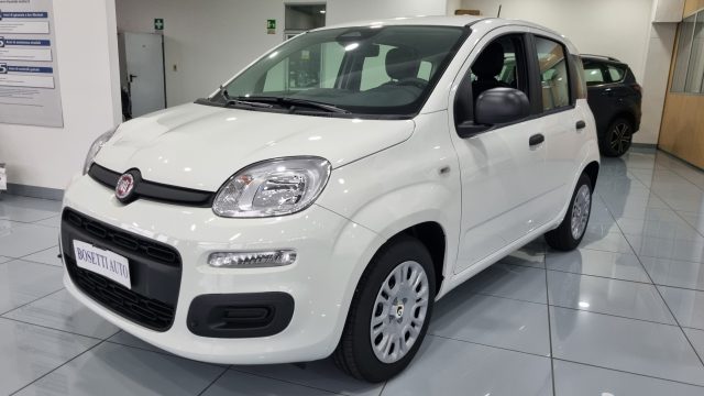 Fiat Panda 1.0 FireFly Hybrid 5Posti nuovo a TRENTO