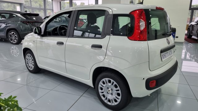 Fiat Panda 1.0 FireFly Hybrid 5Posti - foto 3 di 4