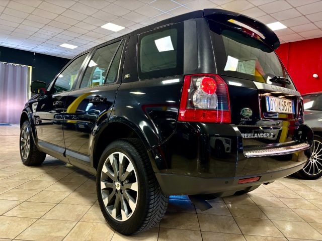 Land Rover Freelander 2.2 TD4 Sport Limited Edition DISTRIBUZIONE FATTA - foto 4 di 4
