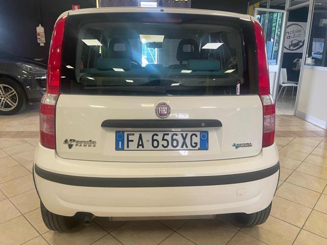 Fiat Panda 1.2 Climbing Natural Power - foto 3 di 4