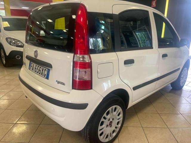 Fiat Panda 1.2 Climbing Natural Power - foto 2 di 4