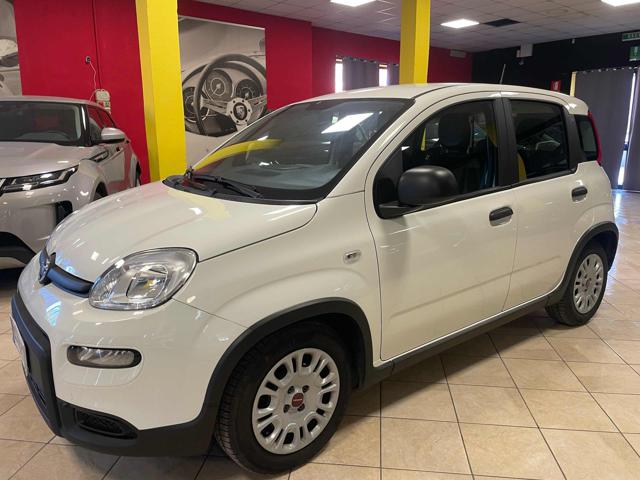Fiat Panda 1.0 FireFly S&S Hybrid-PREZZO +IVA - foto 3 di 4