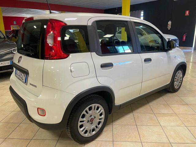 Fiat Panda 1.0 FireFly S&S Hybrid-PREZZO +IVA - foto 4 di 4