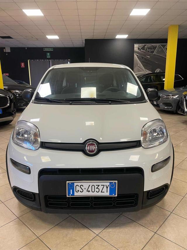 Fiat Panda 1.0 FireFly S&S Hybrid-PREZZO +IVA - foto 2 di 4