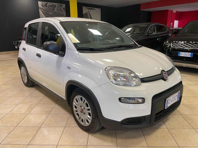Fiat Panda 1.0 FireFly S&S Hybrid-PREZZO +IVA, del 2024, 66.000 km, in vendita a Bozzolo (MN)