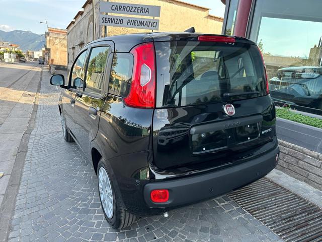 Fiat Panda Panda 1.0 FireFly S&S Hybrid Pop - foto 4 di 15