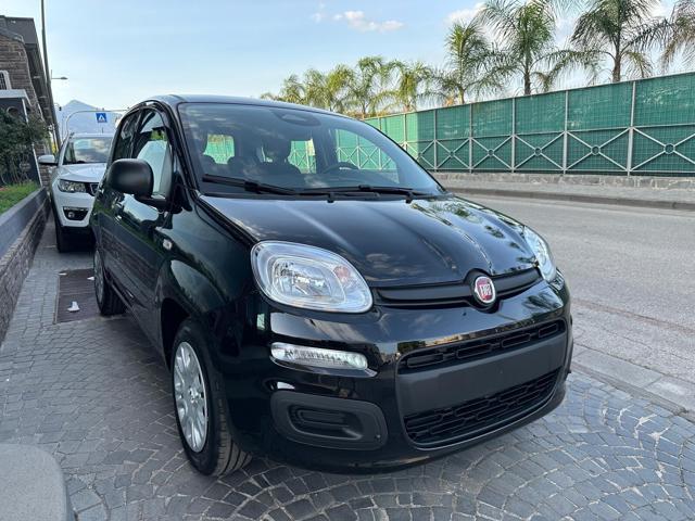 Fiat Panda Panda 1.0 FireFly S&S Hybrid Pop - foto 3 di 15