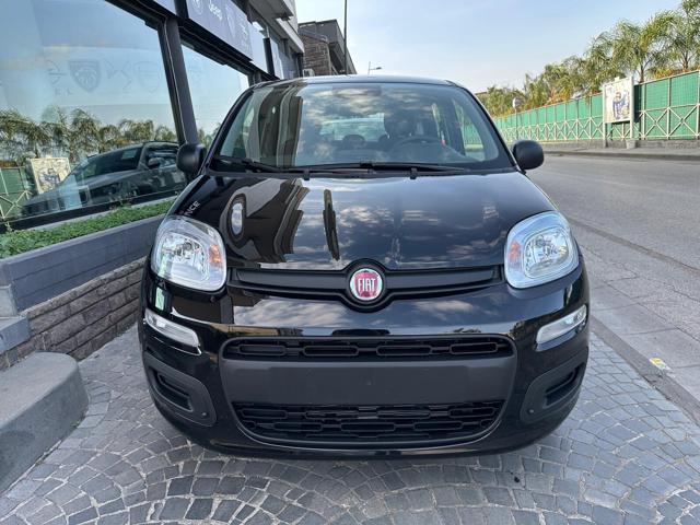 Fiat Panda Panda 1.0 FireFly S&S Hybrid Pop nuovo a SCAFATI