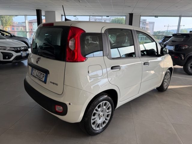 Fiat Panda 1.0 FireFly S&S Hybrid - foto 3 di 4
