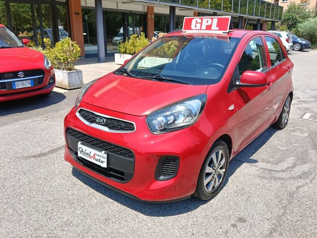 Kia Picanto 1.0 12V EcoGPL 5 porte Active Collection usato a RASTIGNANO