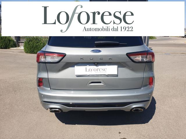 Ford Kuga 1.5 EcoBlue 120 CV 2WD ST-Line - foto 4 di 4