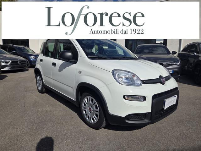 Fiat Panda 1.0 FireFly S&S Hybrid usato a TARANTO