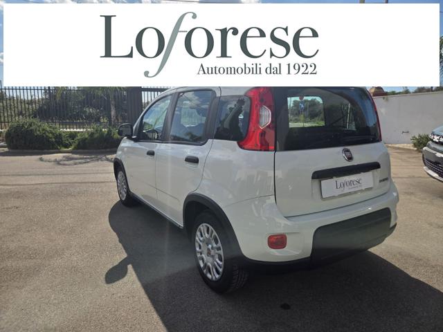 Fiat Panda 1.0 FireFly S&S Hybrid - foto 3 di 4