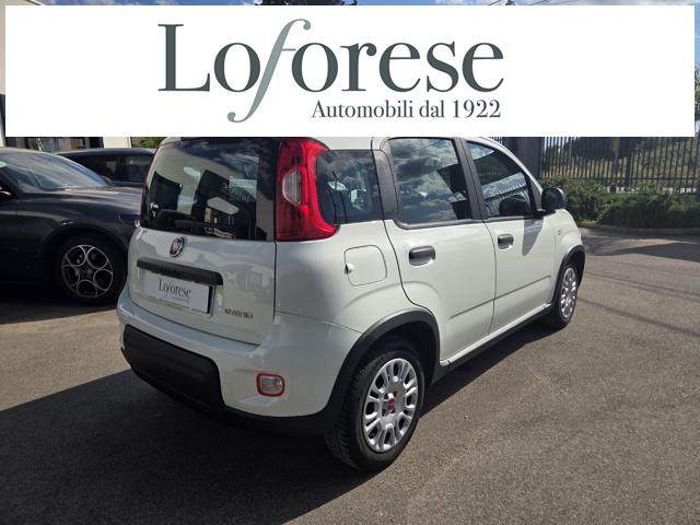Fiat Panda 1.0 FireFly S&S Hybrid - foto 4 di 4