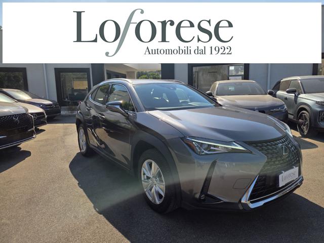 Lexus UX Full Electric UX Hybrid Business usato a TARANTO