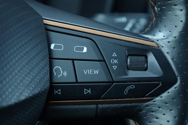 CUPRA Formentor 2.0 TDI SEDILI SPORTIVI usato a CAORSO