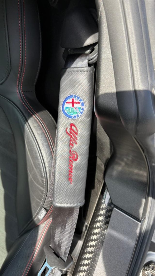 Alfa Romeo 4C 1750 TBi Competizione SOLO 9000 KM, del 2018, 9.000 km, in vendita a Monte San Savino (AR)