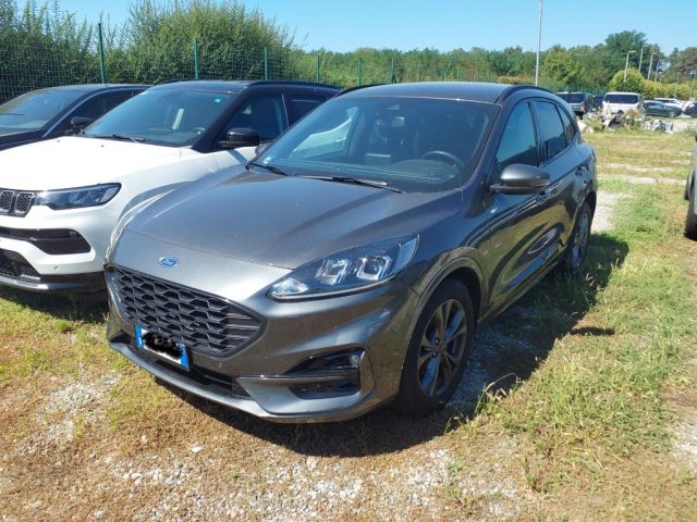 Ford Kuga 2.0 EcoBlue 120 CV aut. 2WD ST-Line IVA ESPOSTA, del 2024, 94.000 km, in vendita a Monte San Savino (AR)