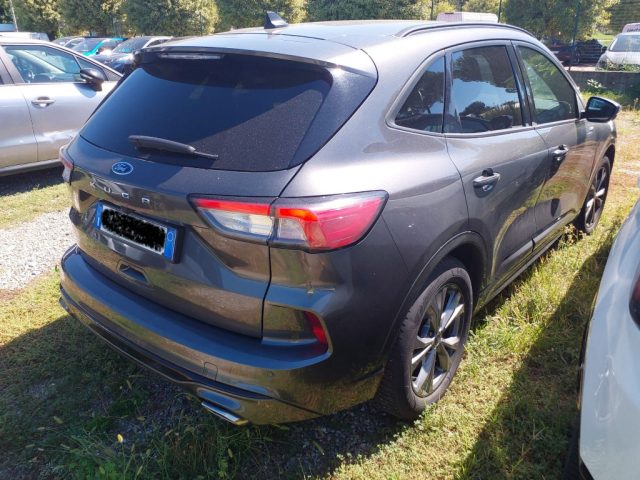 Ford Kuga 2.0 EcoBlue 120 CV aut. 2WD ST-Line IVA ESPOSTA - foto 3 di 4