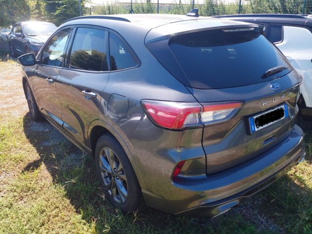 Ford Kuga 2.0 EcoBlue 120 CV aut. 2WD ST-Line IVA ESPOSTA - foto 2 di 4