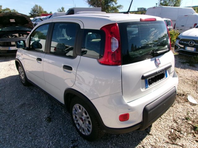 Fiat Panda 1.0 FireFly S&S Hybrid IDONEA NEOPATENTATI - foto 3 di 4