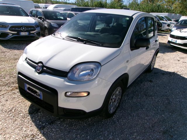 Fiat Panda 1.0 FireFly S&S Hybrid IDONEA NEOPATENTATI, del 2023, 74.000 km, in vendita a Monte San Savino (AR)