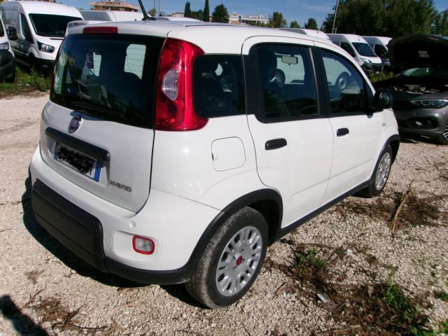 Fiat Panda 1.0 FireFly S&S Hybrid IDONEA NEOPATENTATI - foto 2 di 4