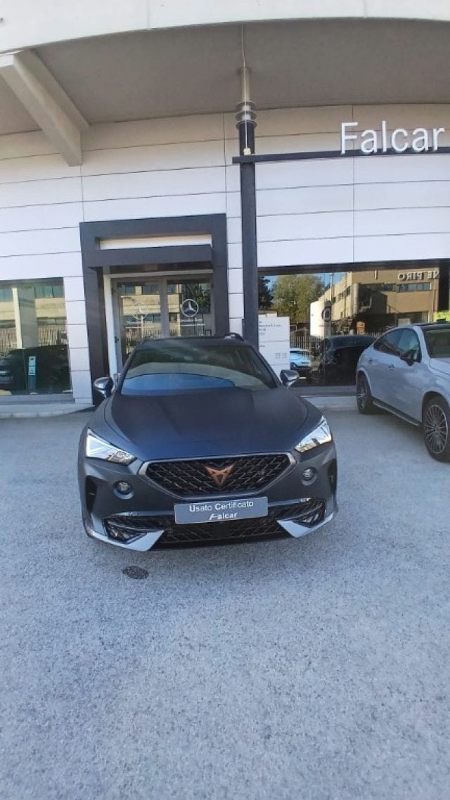 CUPRA Formentor 2.0 TDI 4Drive DSG, del 2022, 129.100 km, in vendita a Potenza (PZ)