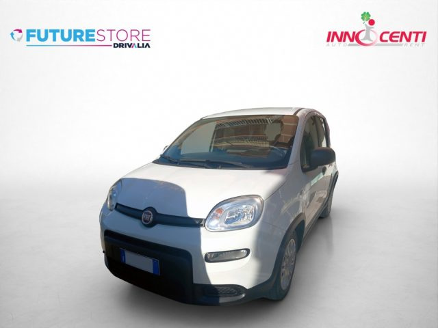 Fiat Panda 1.0 FireFly S&S Hybrid - foto 2 di 4