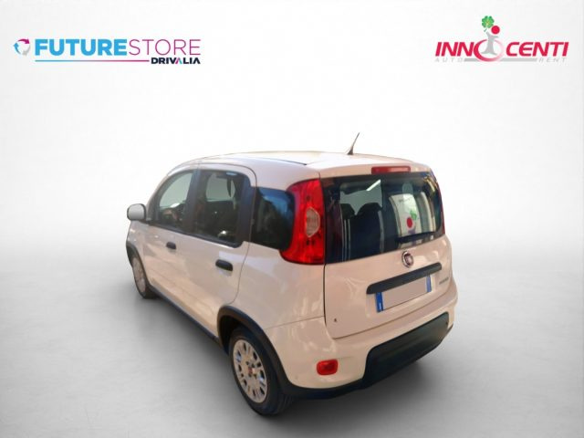 Fiat Panda 1.0 FireFly S&S Hybrid - foto 3 di 4