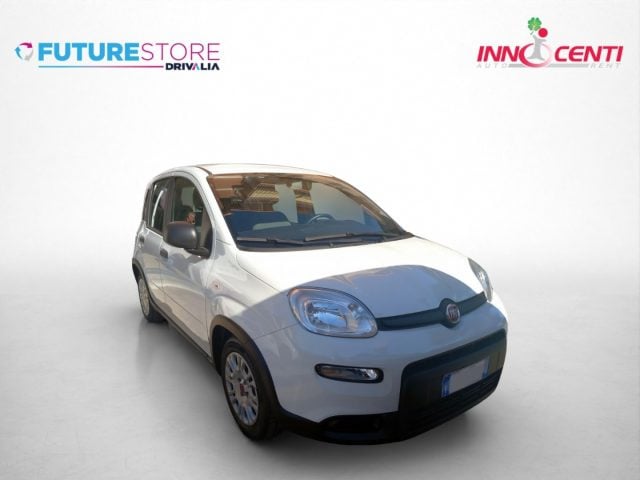 Fiat Panda 1.0 FireFly S&S Hybrid usato a AVERSA