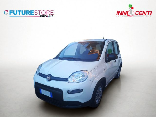Fiat Panda 1.0 FireFly S&S Hybrid - foto 2 di 4