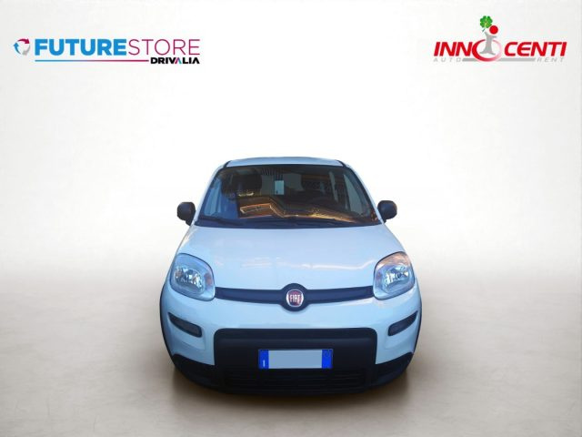 Fiat Panda 1.0 FireFly S&S Hybrid - foto 3 di 4