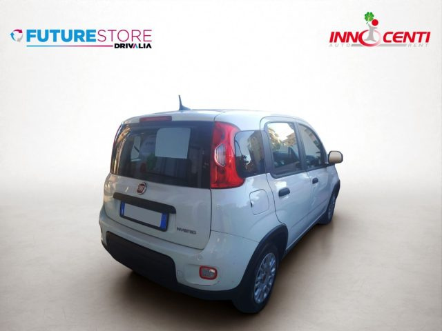 Fiat Panda 1.0 FireFly S&S Hybrid - foto 4 di 4