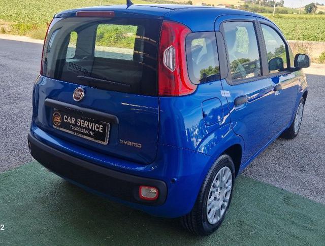 Fiat Panda 1.0 FireFly S&S Hybrid km.o - foto 4 di 4