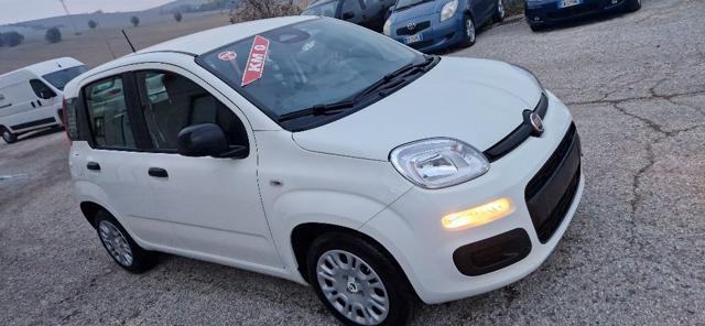 Fiat Panda 1.0 FireFly S&S Hybrid km.o - foto 4 di 4