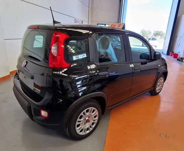 Fiat Panda 1.0 FireFly S&S Hybrid km.o - foto 2 di 4