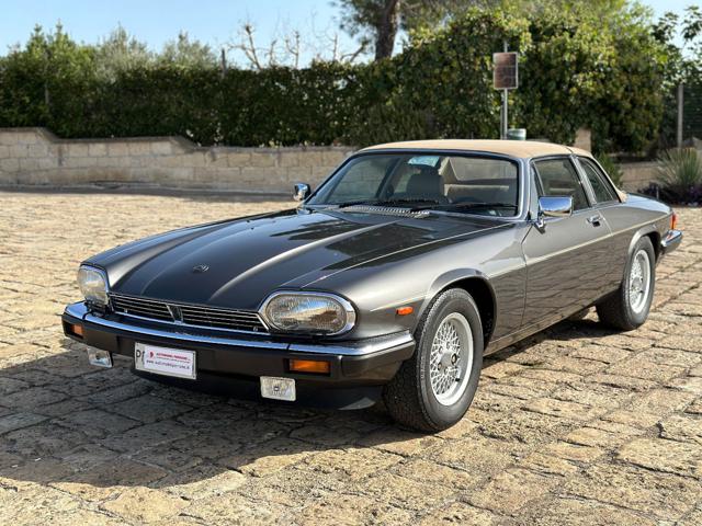 Jaguar XJS C 3.6 Cabrio - Targa - foto 4 di 4