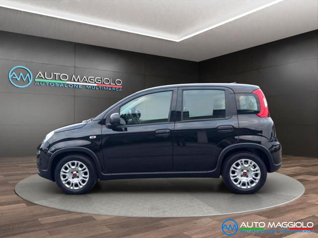 Fiat Panda 1.0 FireFly S&S Hybrid 70 CV PREZZO REALE usato a CURTAROLO