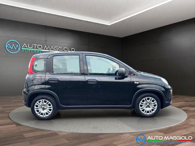 Fiat Panda 1.0 FireFly S&S Hybrid 70 CV PREZZO REALE - foto 4 di 36