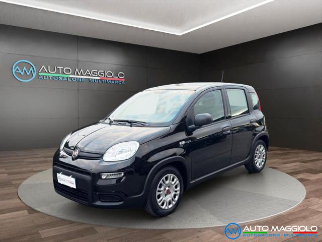 Fiat Panda 1.0 FireFly S&S Hybrid 70 CV PREZZO REALE usato a CURTAROLO